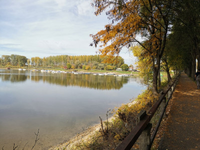 Maraton dva jezera Bačka Palanka