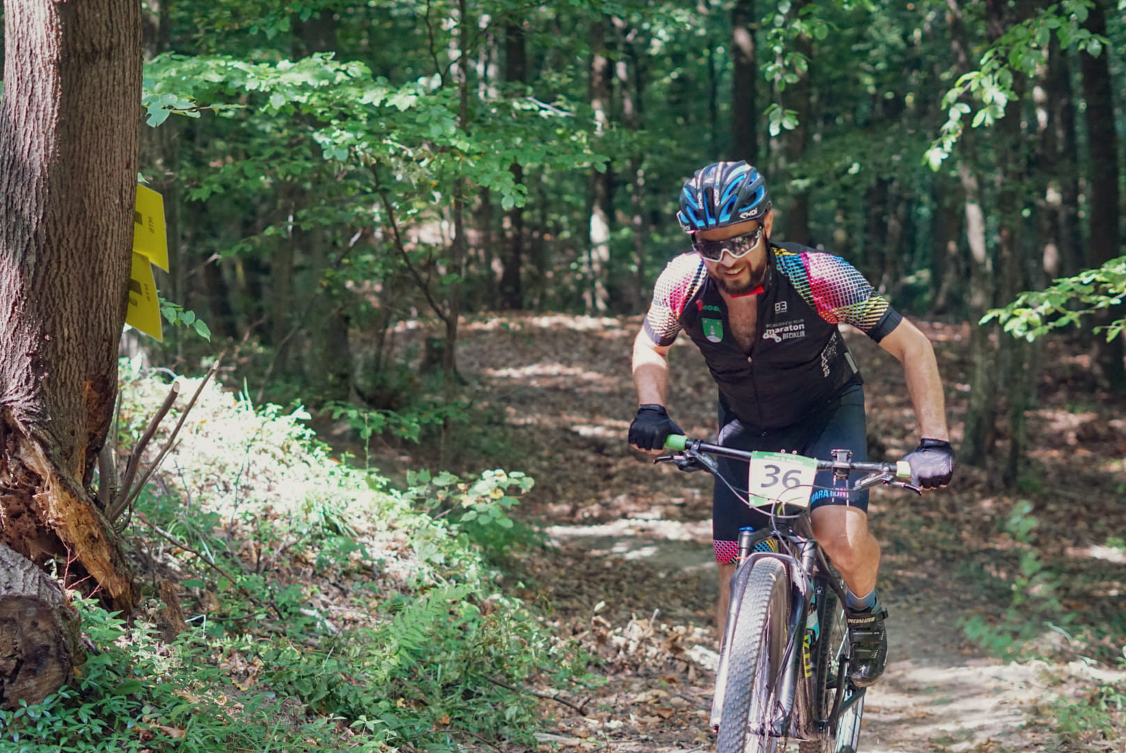 XCM Rotor&Robin