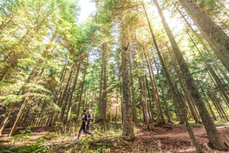 Skakavac trail