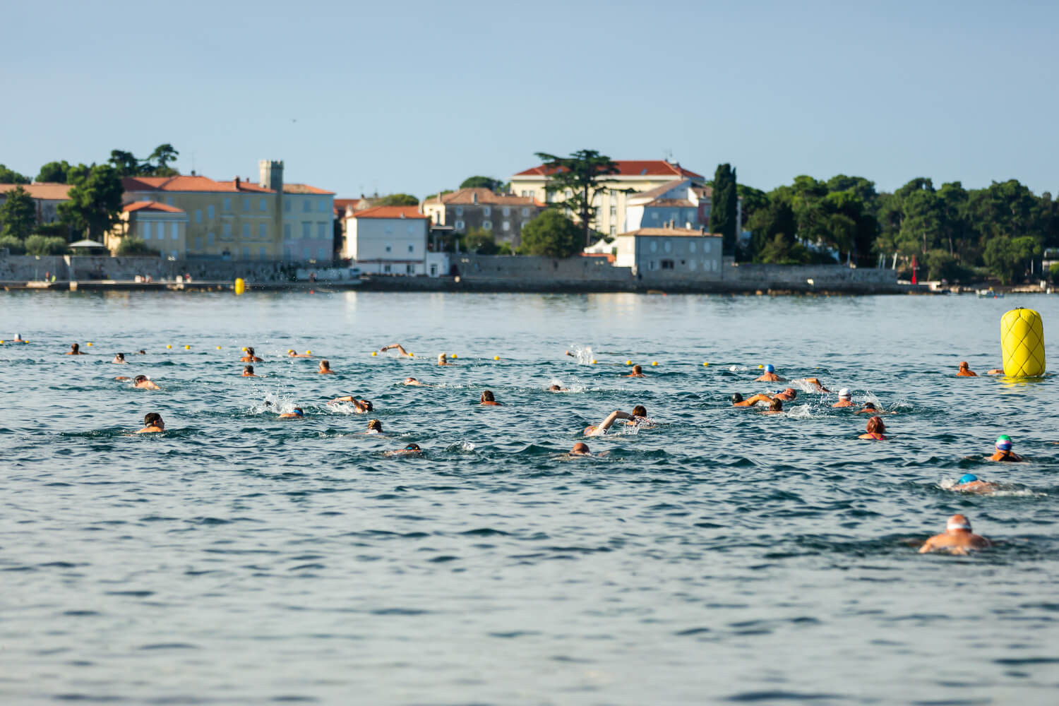 23. Porečki delfin