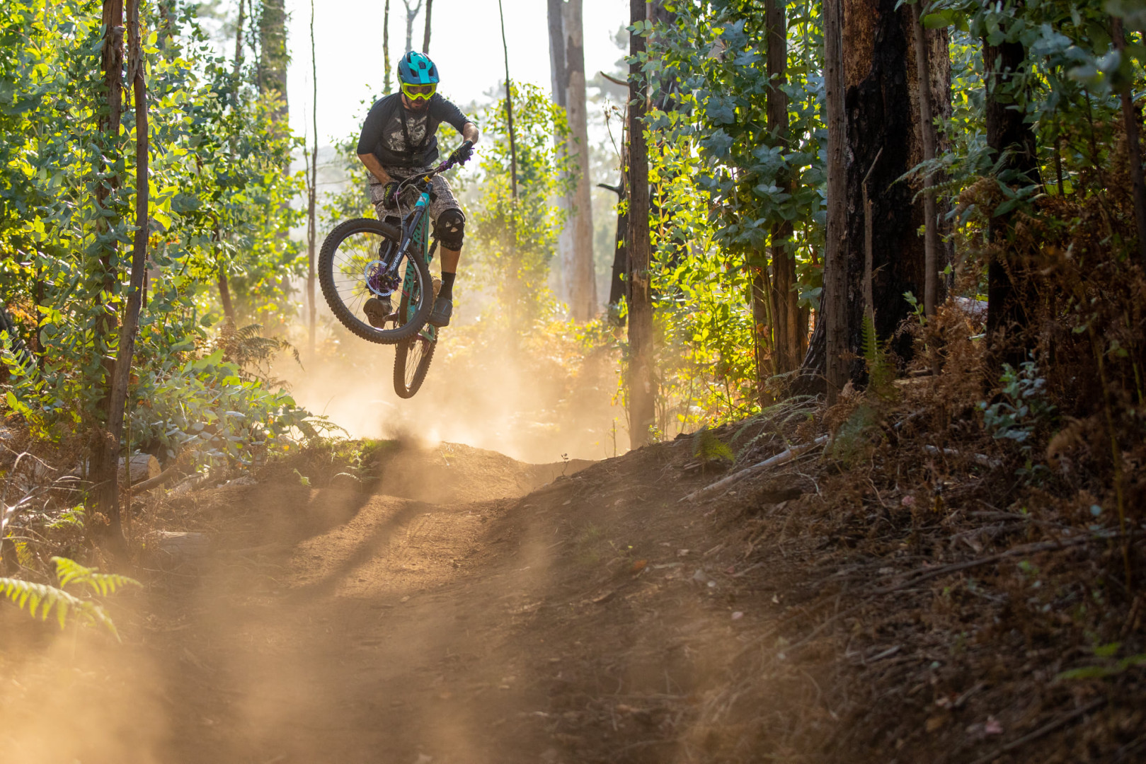 Mountain Bike Madeira