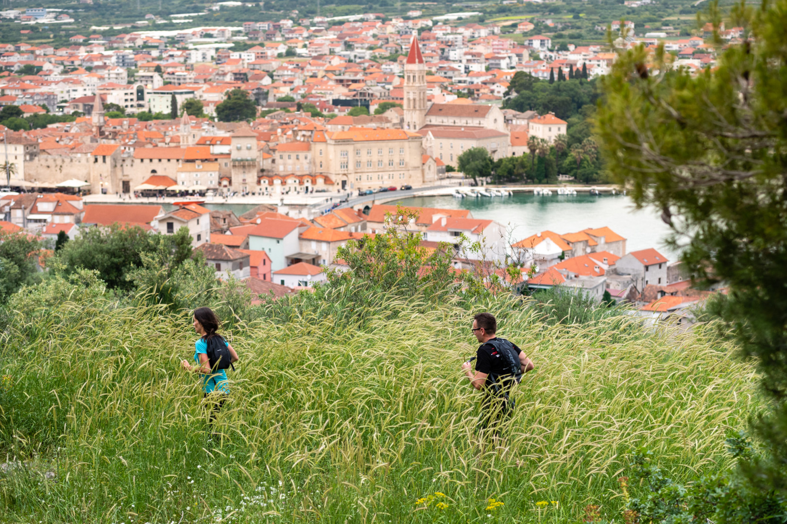 Advent Trail Run Trogir