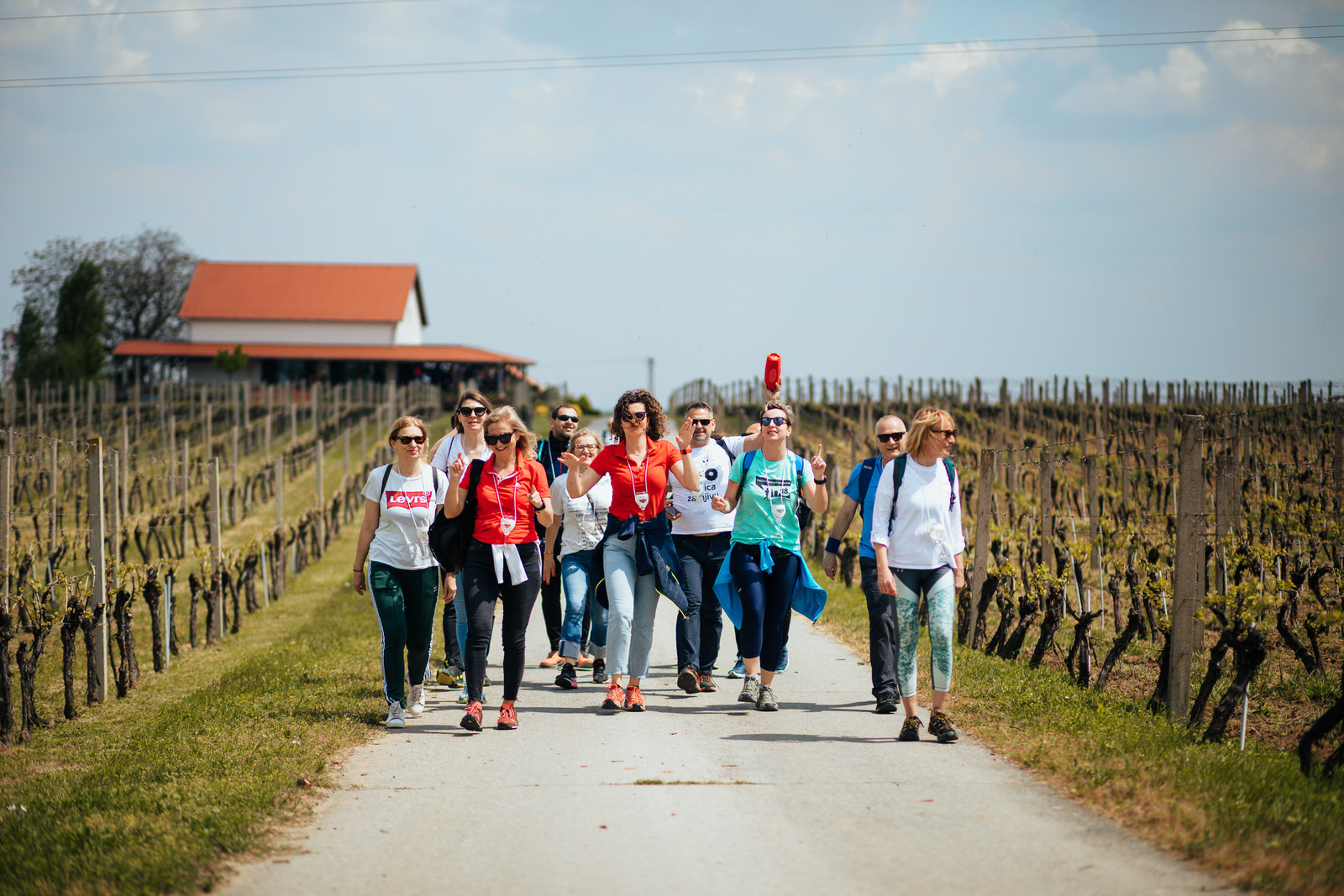 Ilok Walk&Wine
