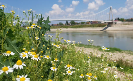 26. Mali maraton Sisak - Trebarjevo