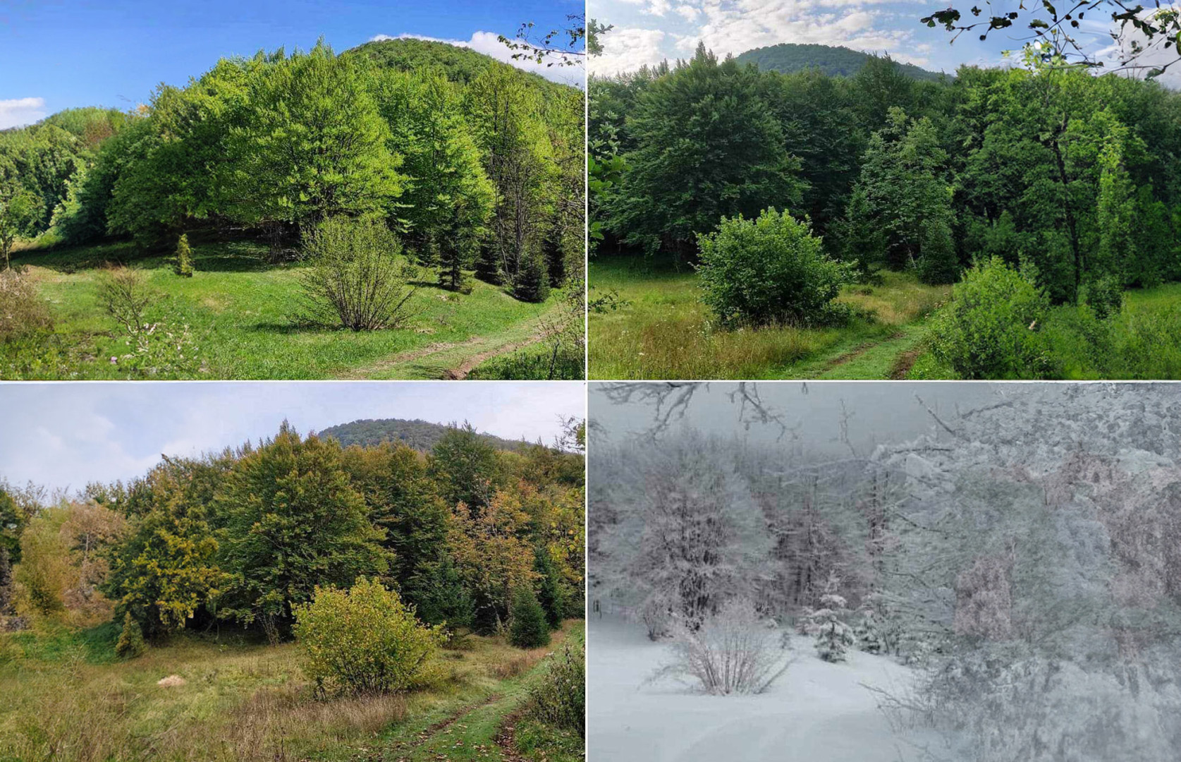 Ogulin trail liga - 4 godišnja doba