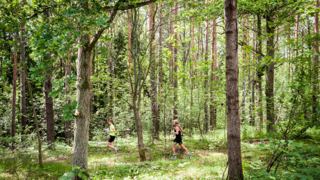 EcoTrail Stockholm