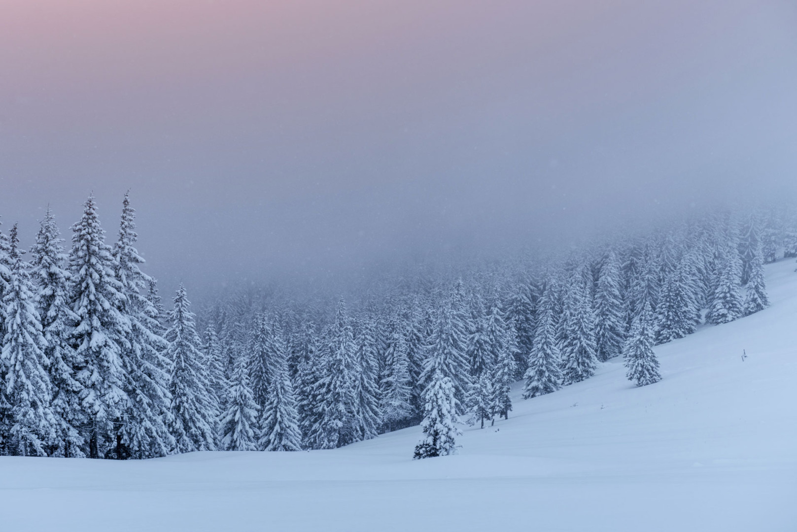 Lastin Trail - 2. kolo ZLSZH