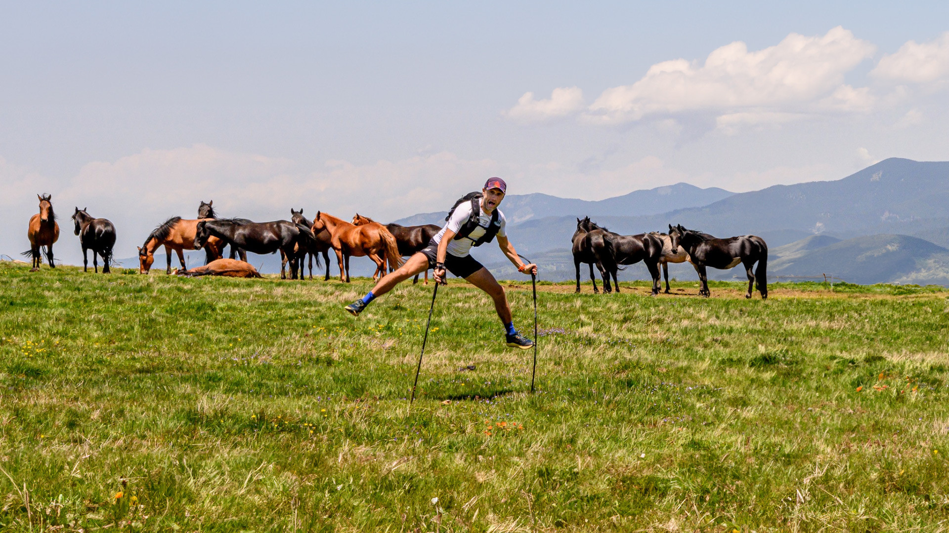 Thracian Ultra