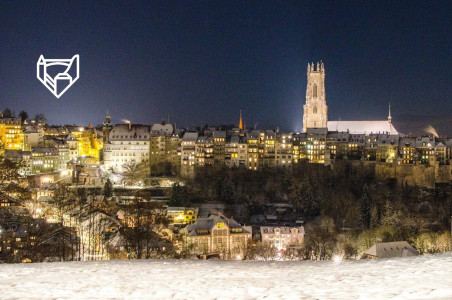 Fribourg by Night trail