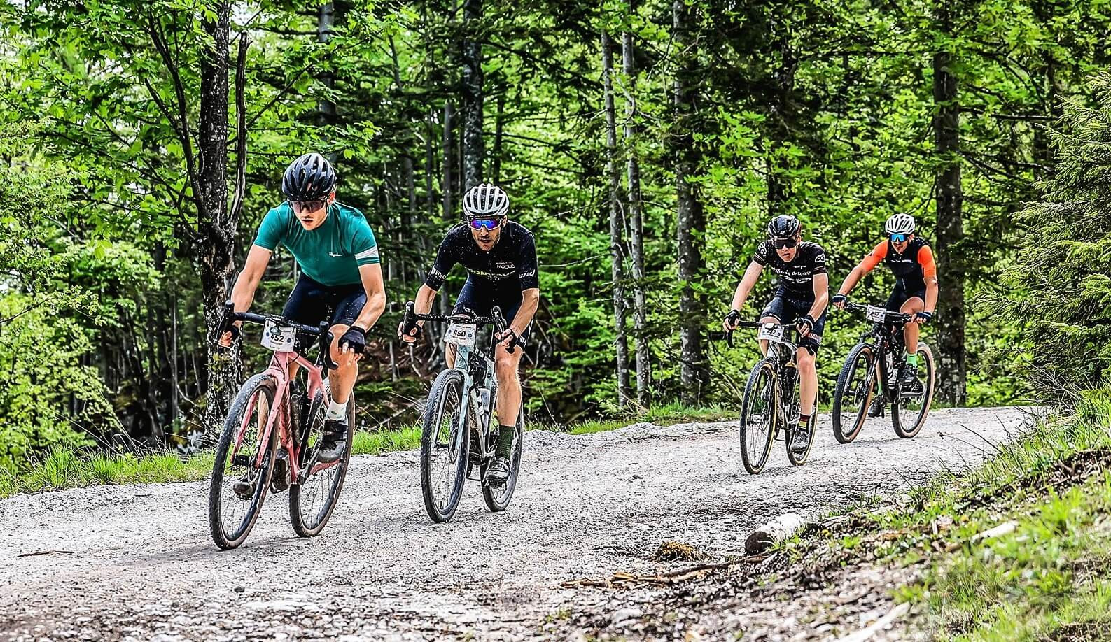HFG Alpine Stages Race