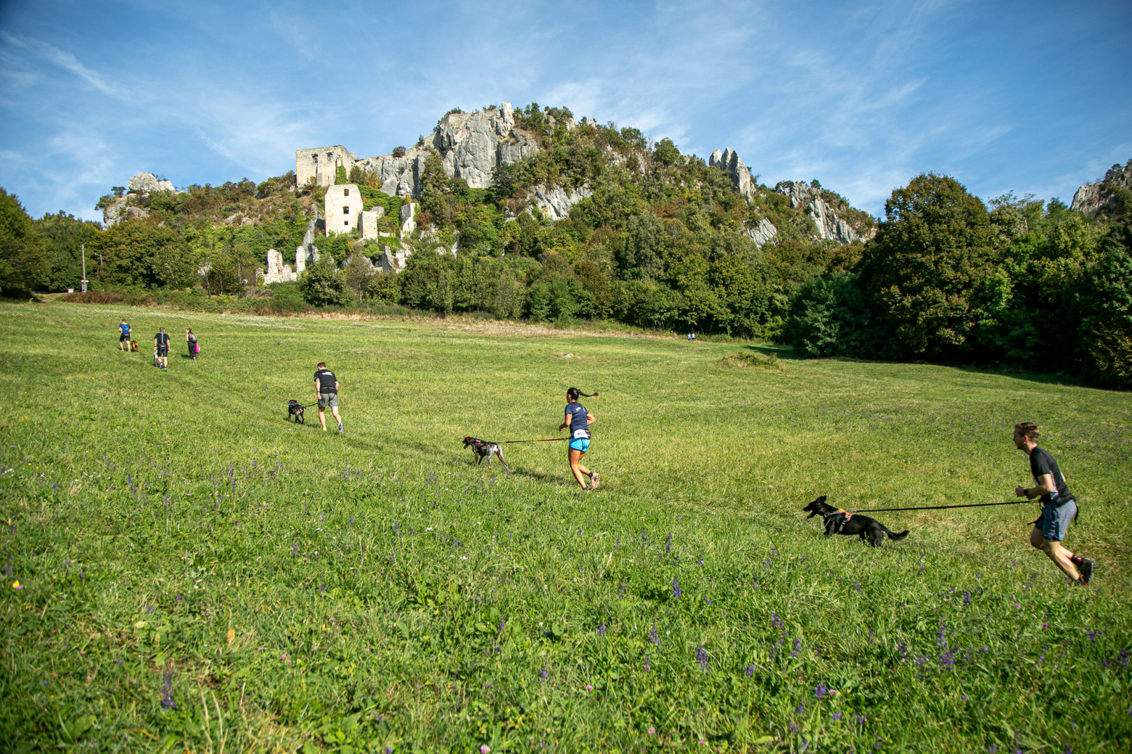 Canicross trening Kalnik
