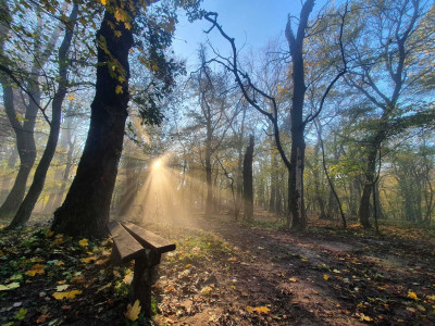 Tanúhegyek trail