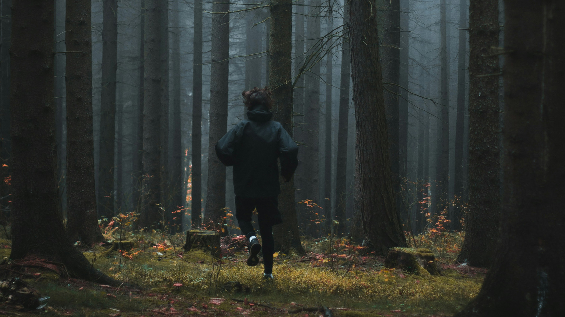 Grafičar night trail