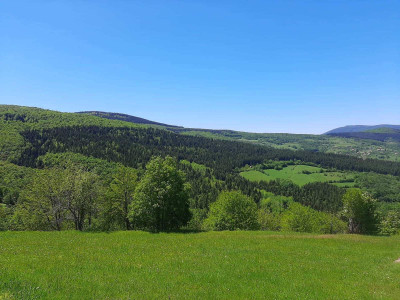 Kirina staza & Hrastovija trail