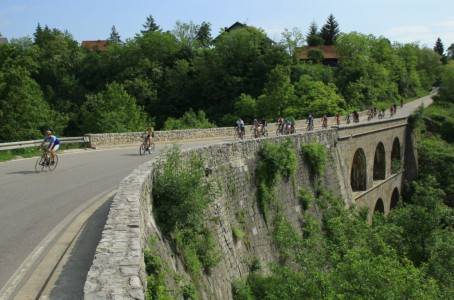 13. Bajina etapa