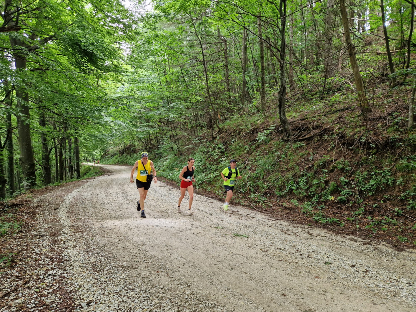 30th Mountain Race Ivančica