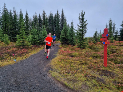 Heiðmerkurhlaupið