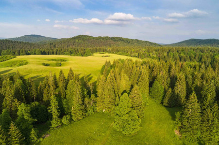 Kočevsko Outdoor Festival