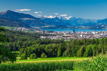 Zugerberg Mountain Run