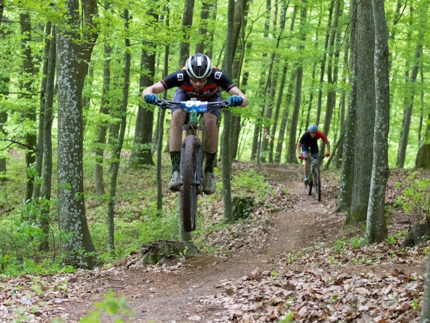 XCM Bodlja