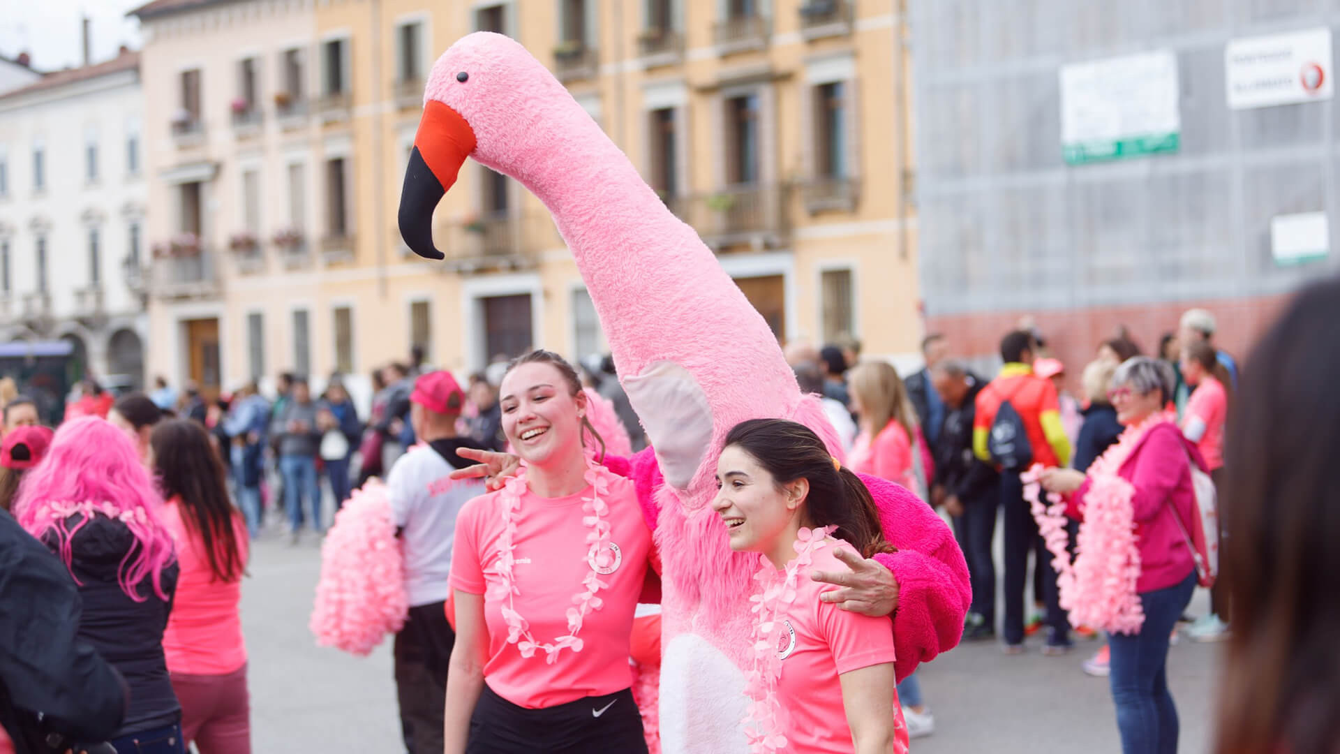 Pink run