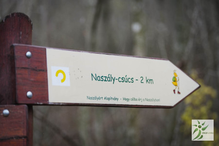 Naszály trail