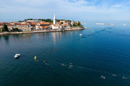 Porečki delfin