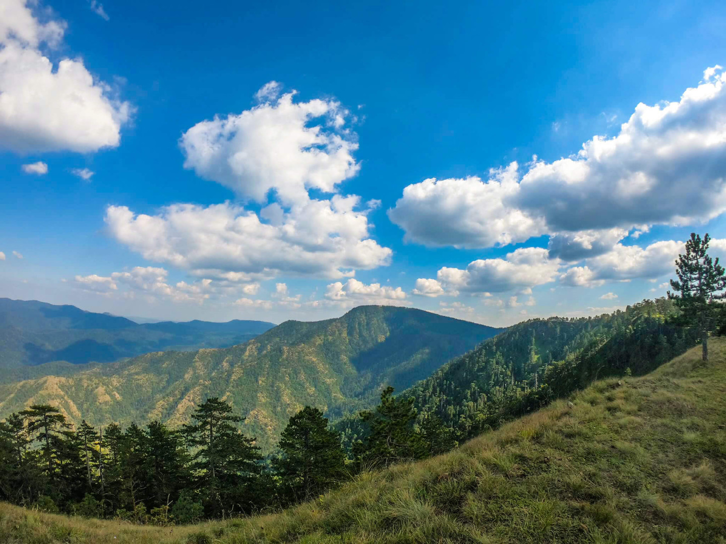 Konjuh trail