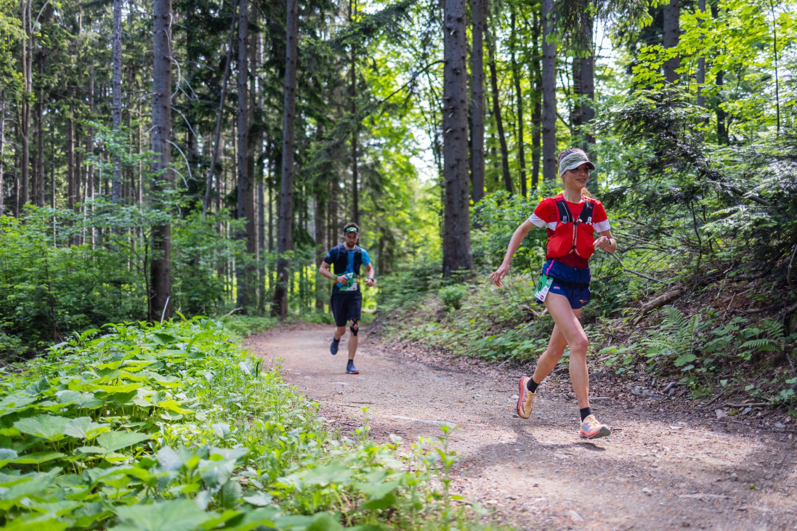 Medvednica trail