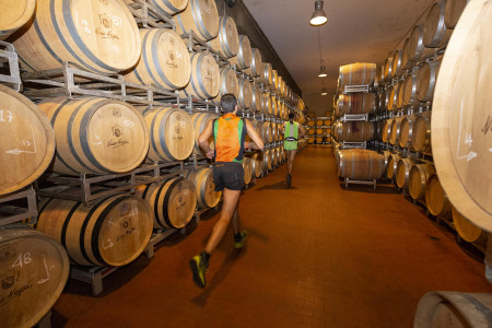 Valtellina Wine trail