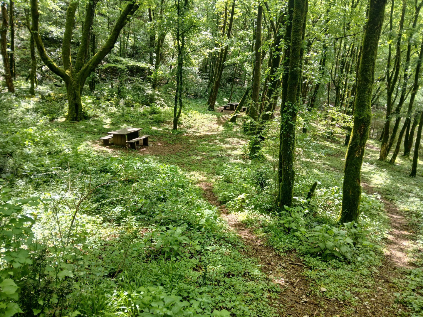 Halubajski trail