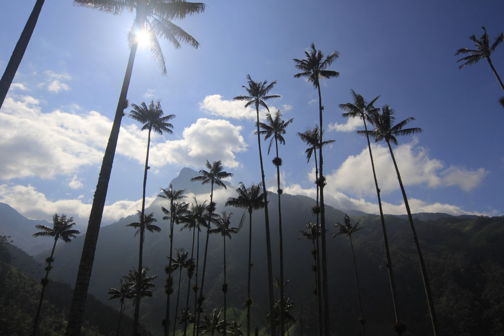 Quindio trail