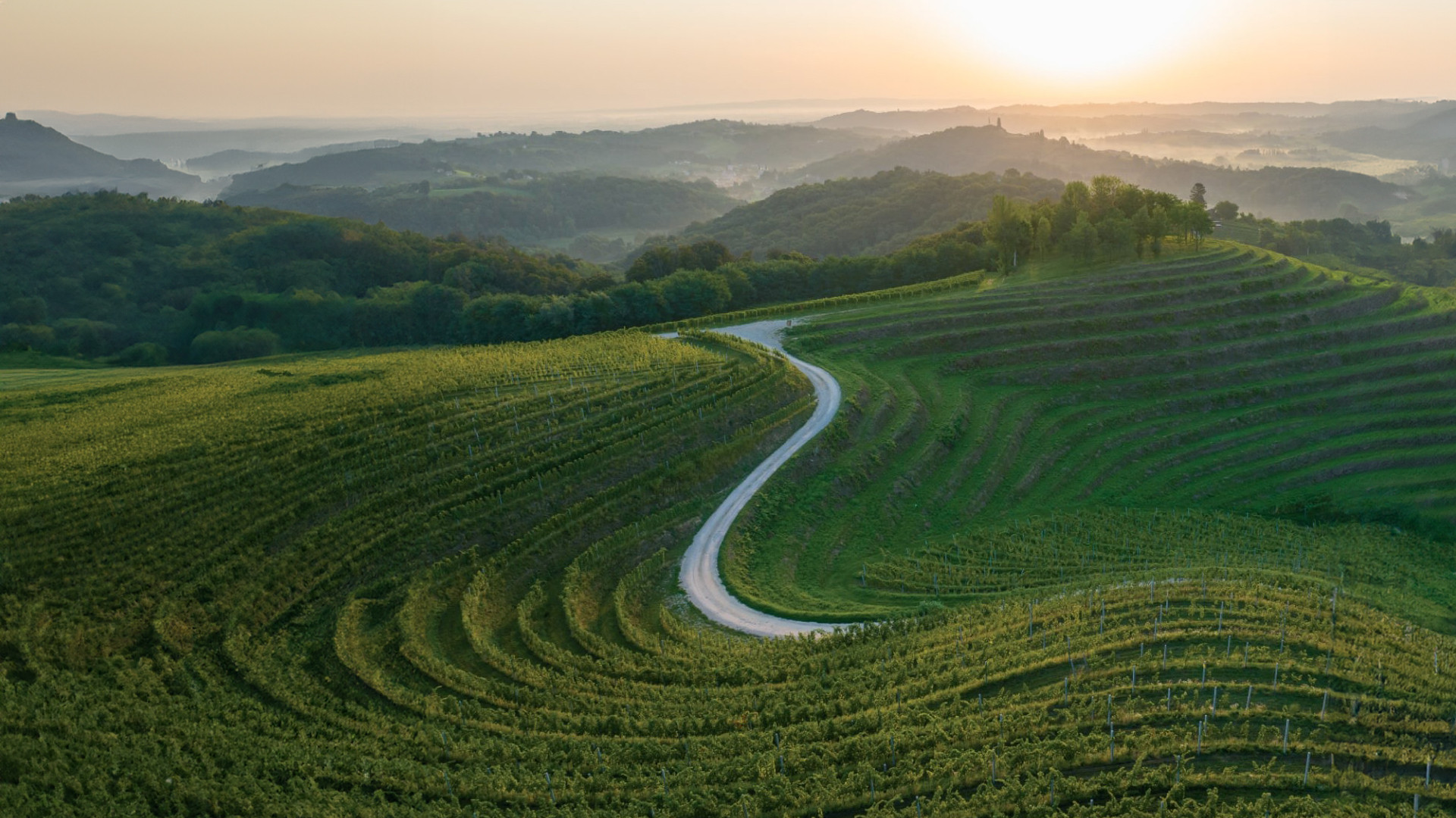 Međimurje wine&walk