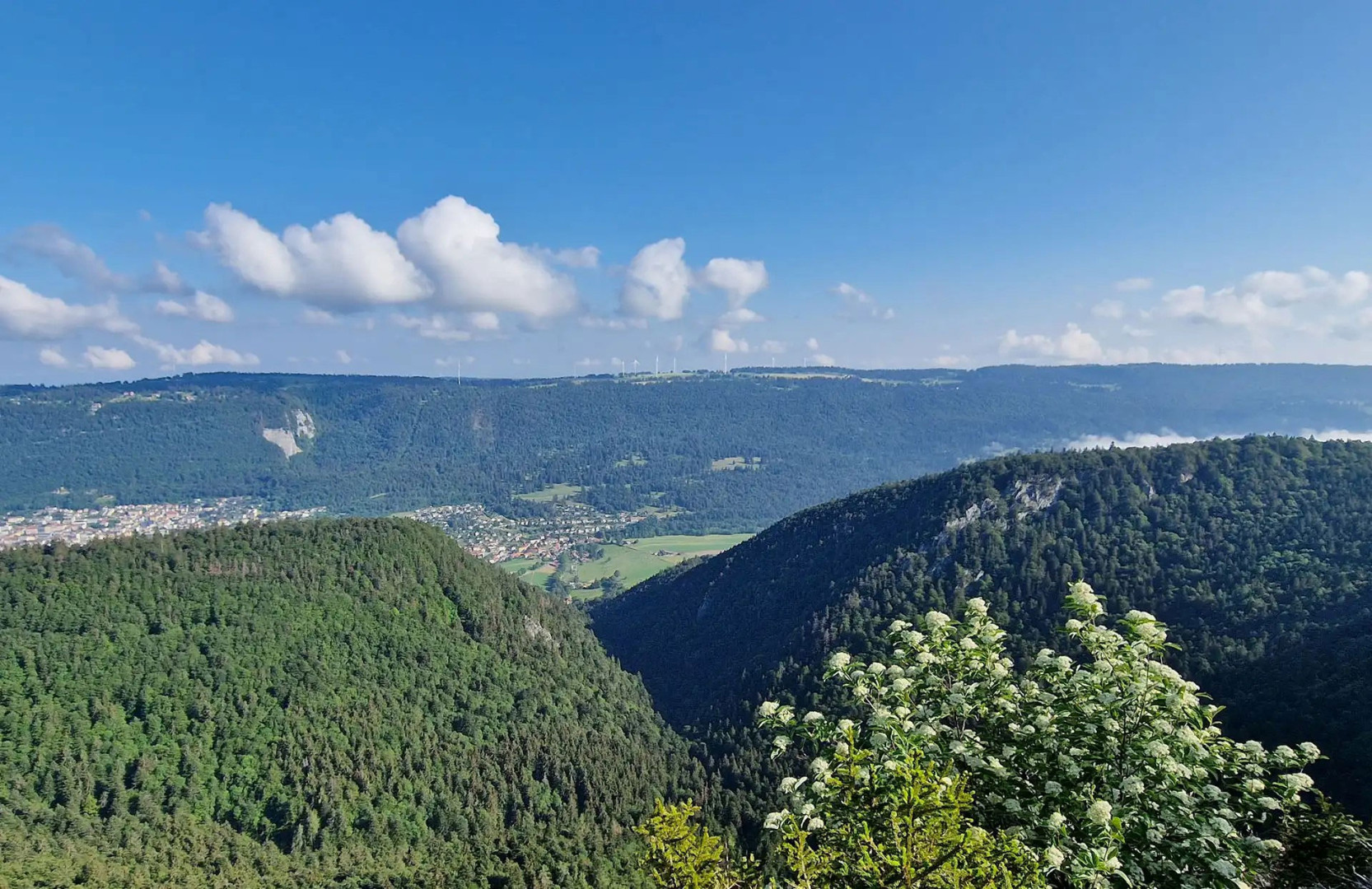 Bernese Jura trail