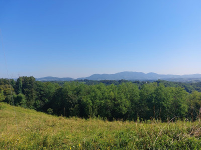 Badl trail