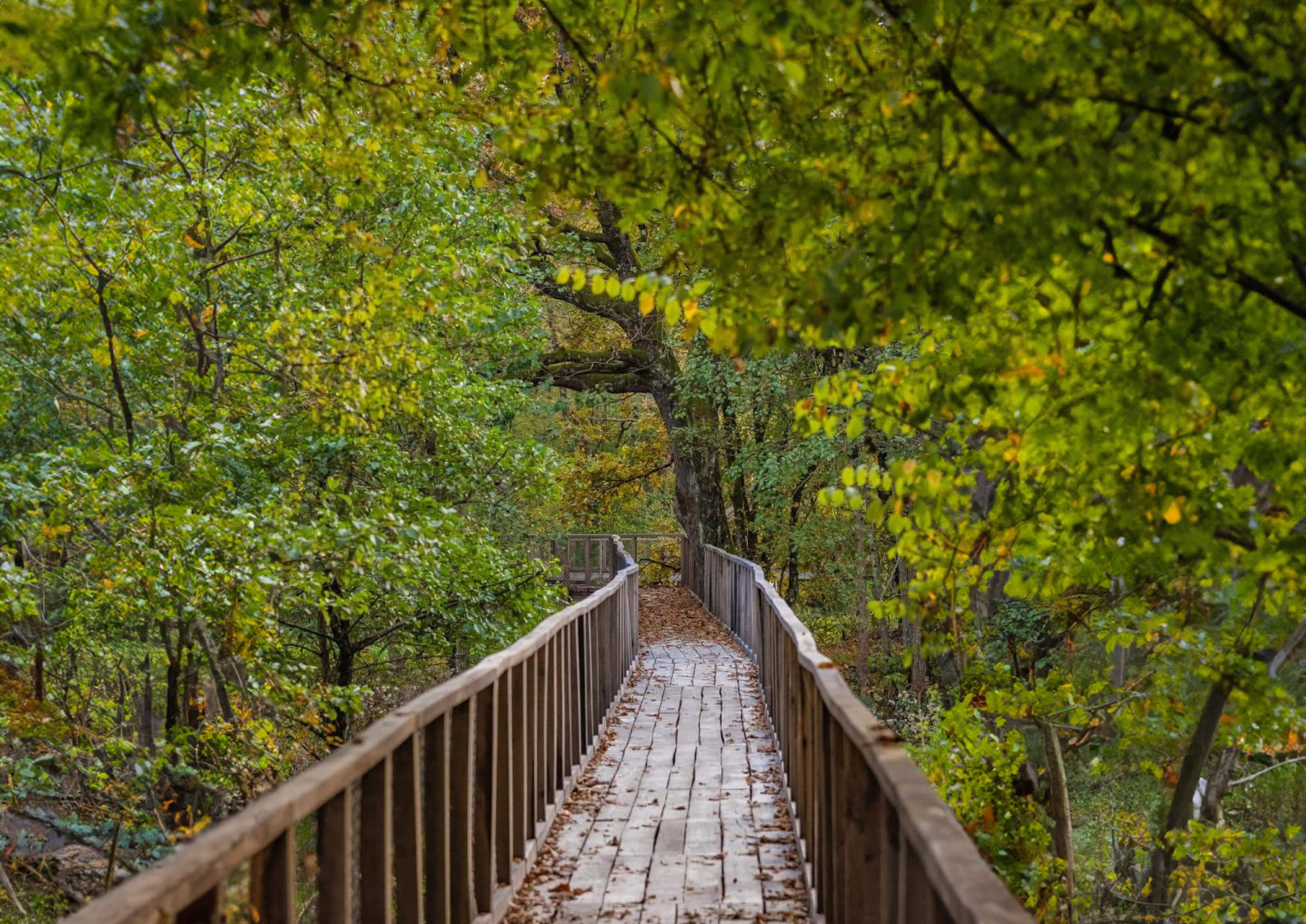 Čazma Run