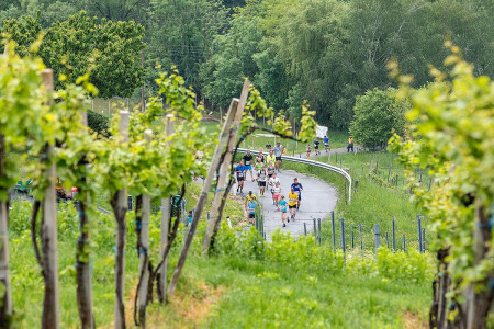WelschLauf
