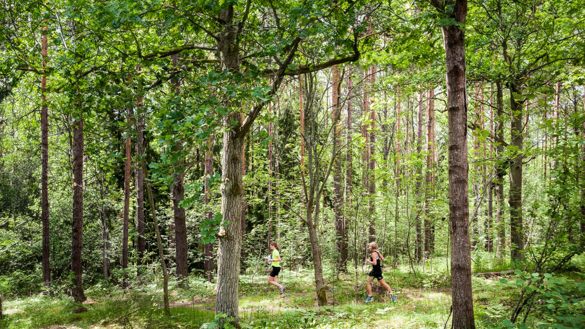 EcoTrail Stockholm