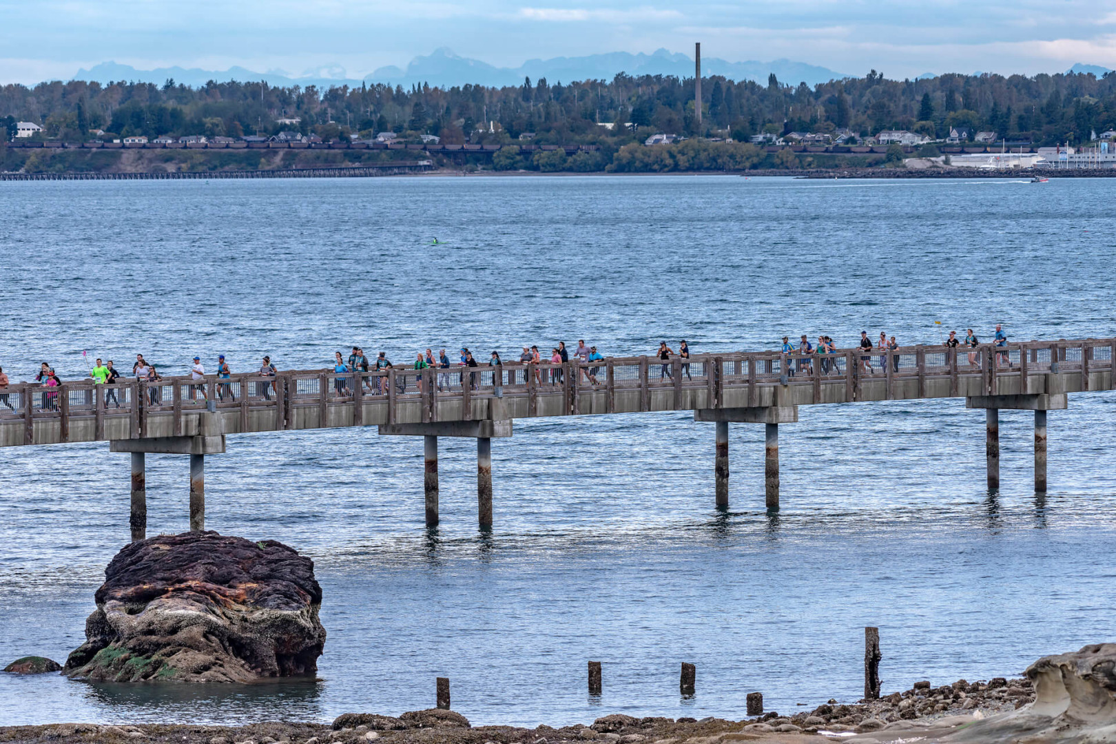 Bellingham Bay Marathon
