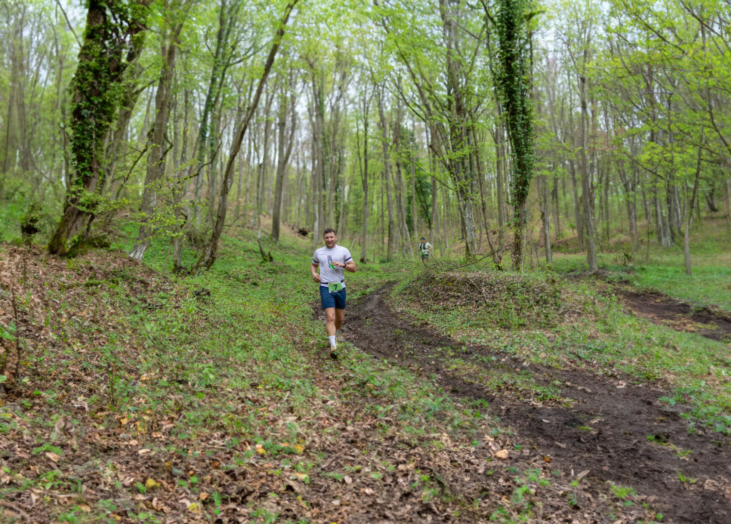 Borovik Trail 2024