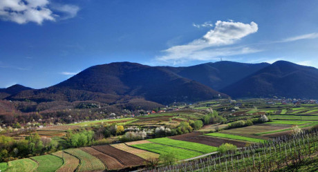 Transverzala Ivančice
