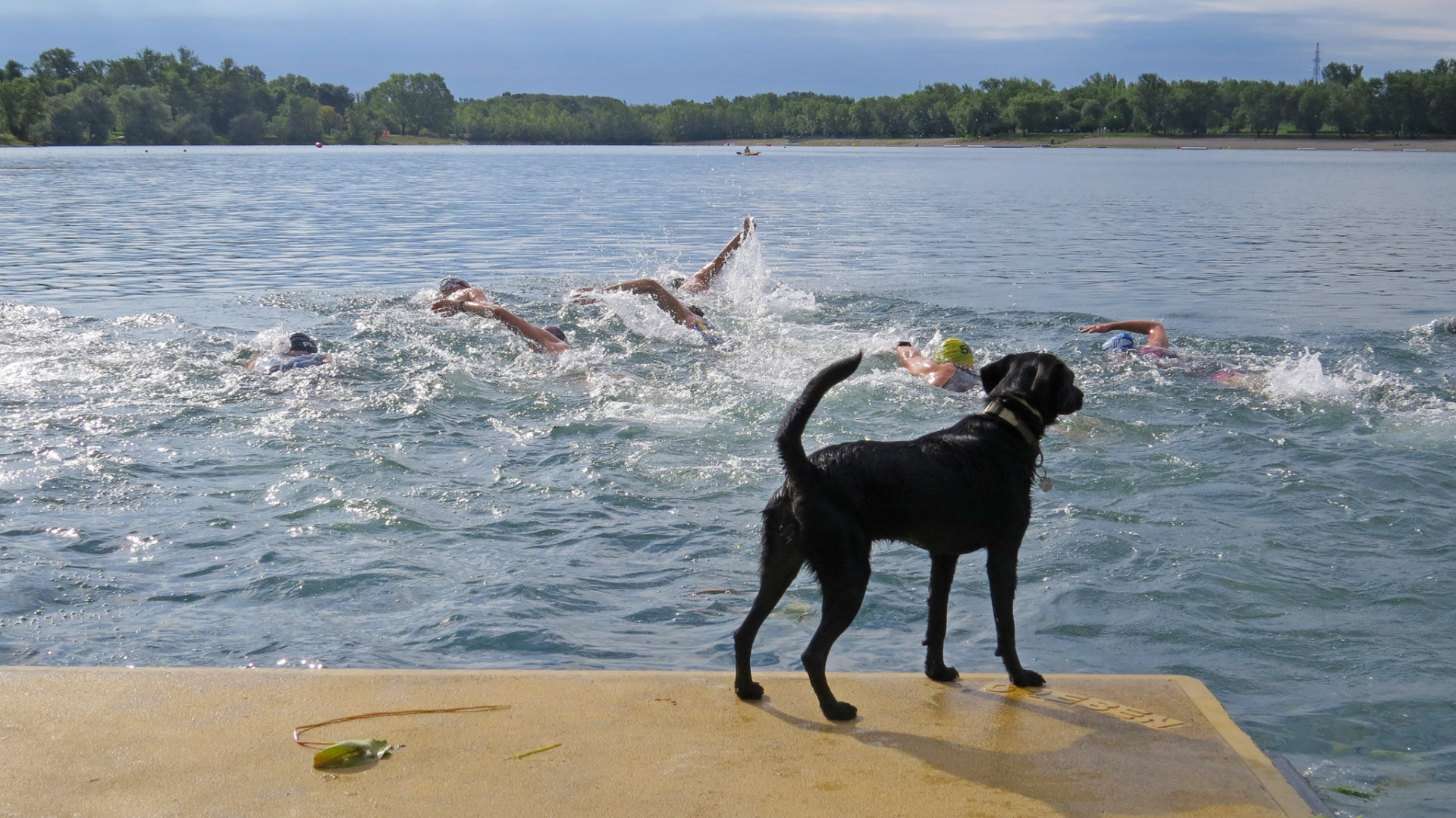 Jarunska triatlon liga 1.kolo