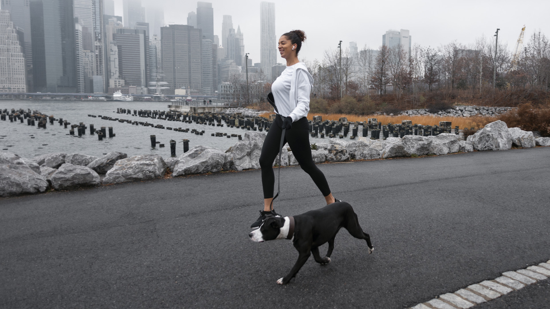 Lucky Dog Virtual 5K
