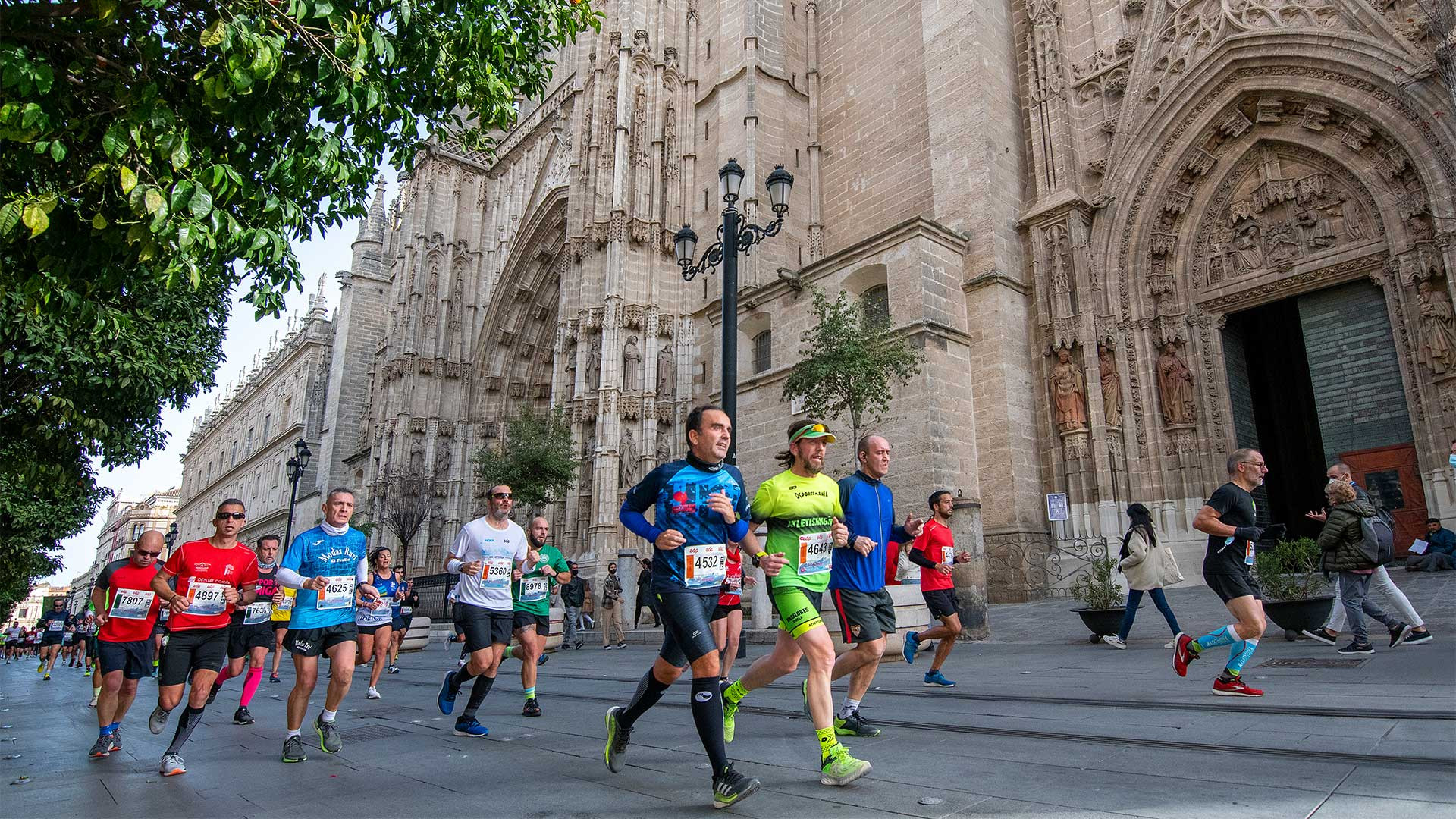 Sevilla Half Marathon