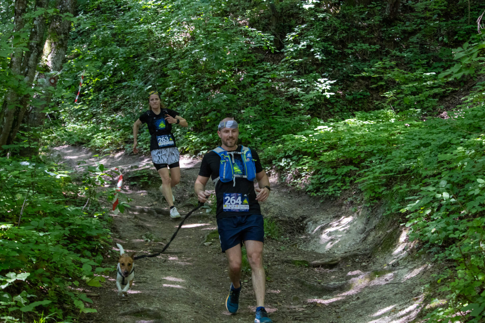 Samobor trail