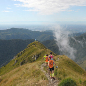 Almana trail