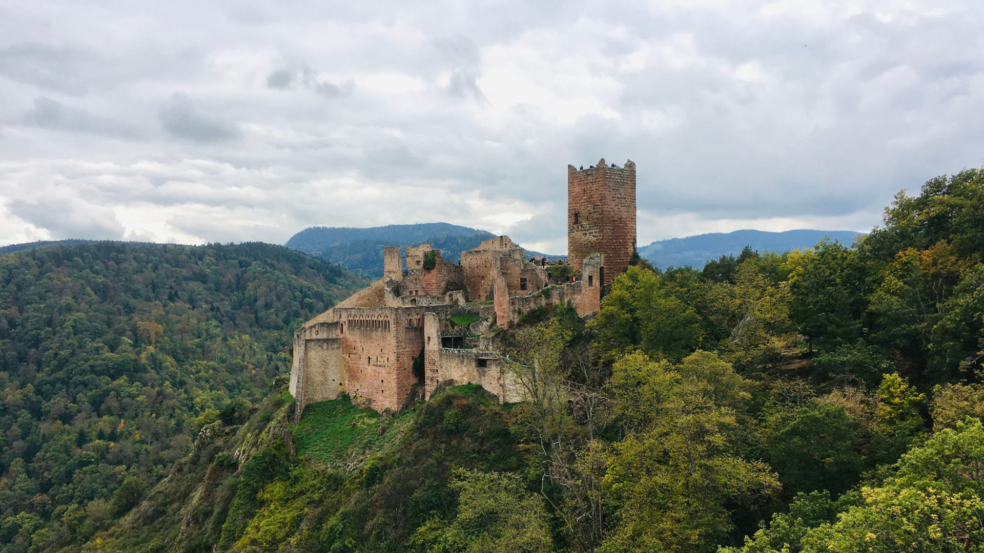 Trail Alsace Grand Est