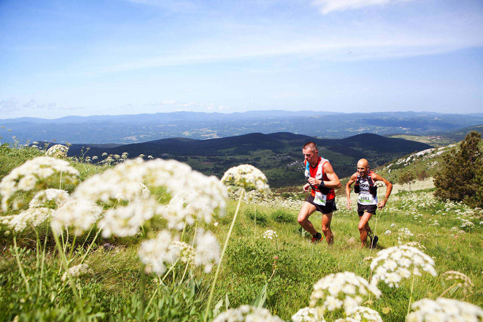 Snežnik trail