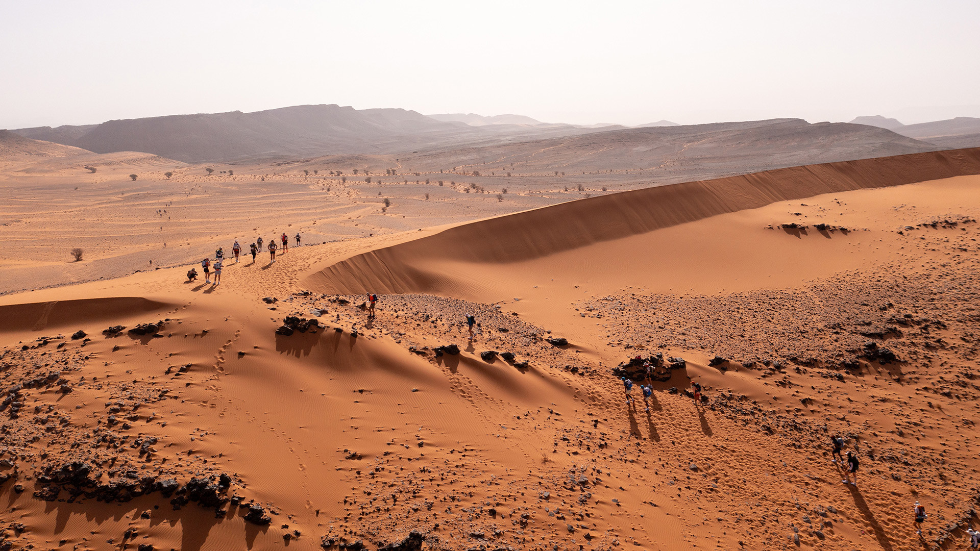Marathon de Sables