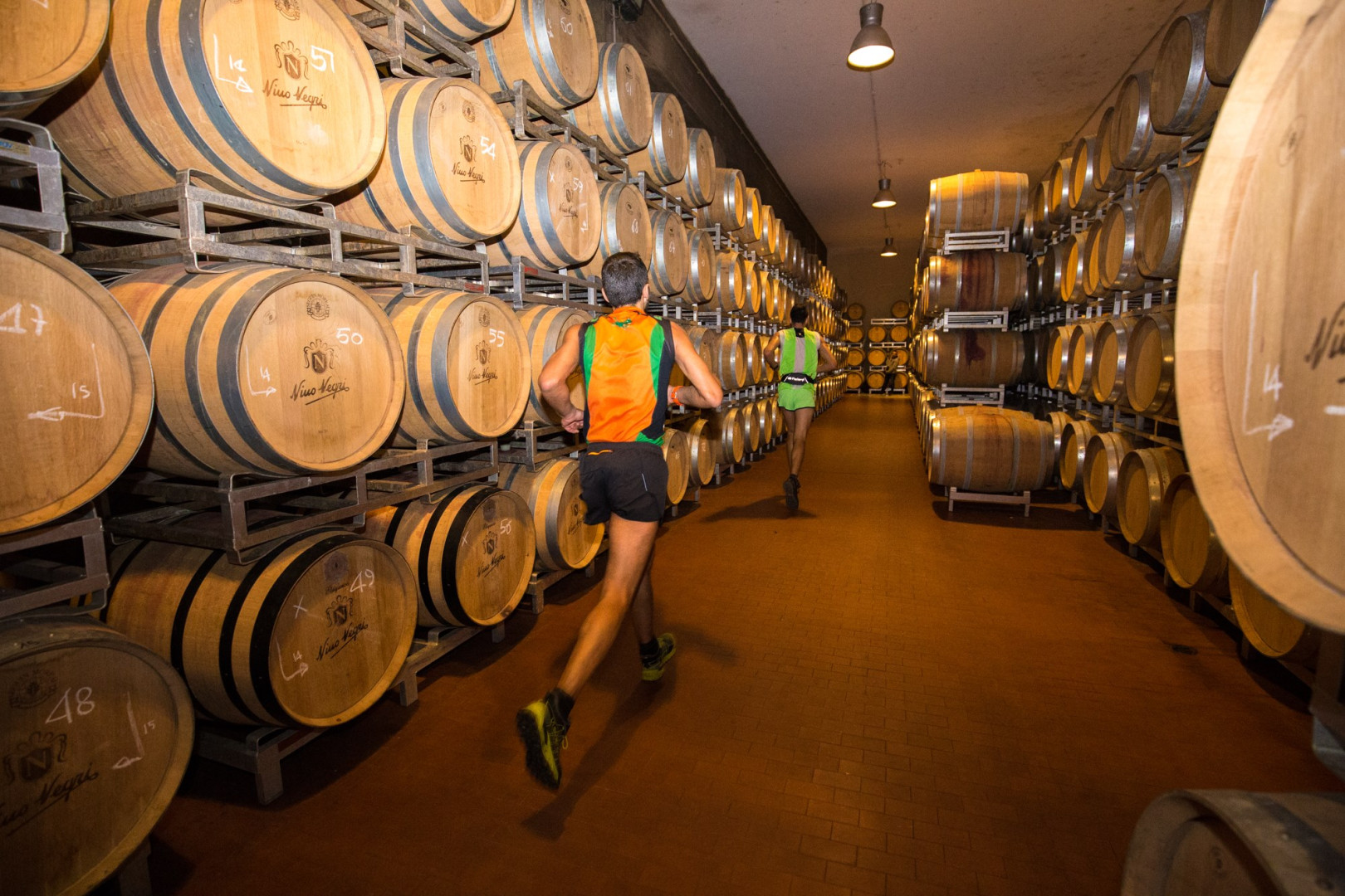 Valtellina Wine trail